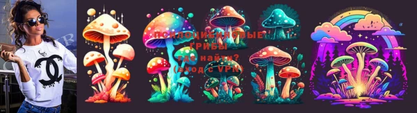 хмурый Верея