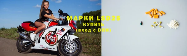 хмурый Верея