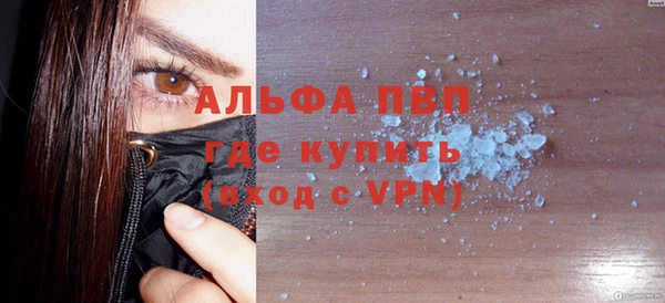хмурый Верея