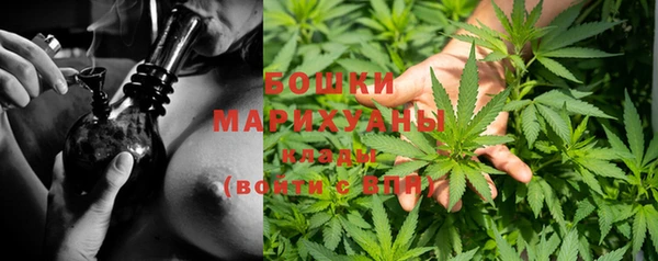 хмурый Верея